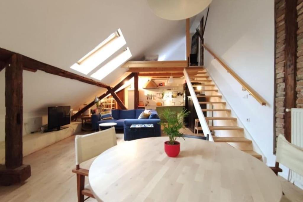 Art / Peaceful / Historical City Center Apartment 萨格勒布 外观 照片