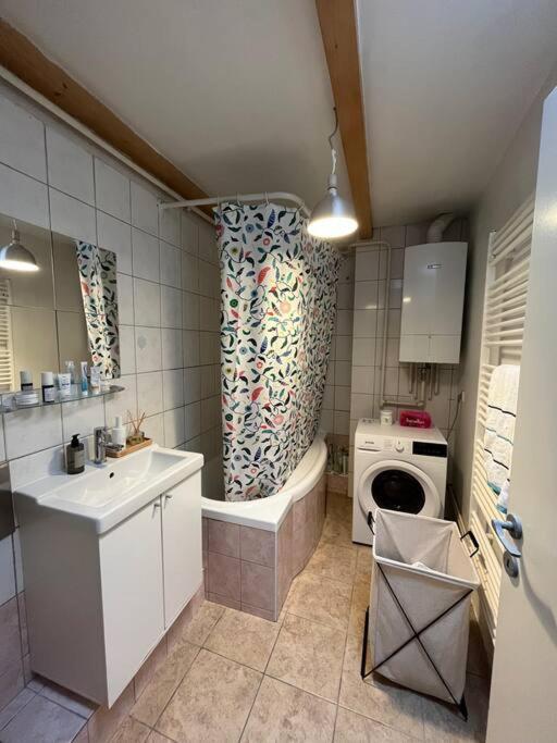 Art / Peaceful / Historical City Center Apartment 萨格勒布 外观 照片